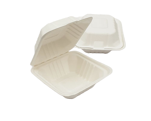 6 Inch white Clamshell Bagasse Box